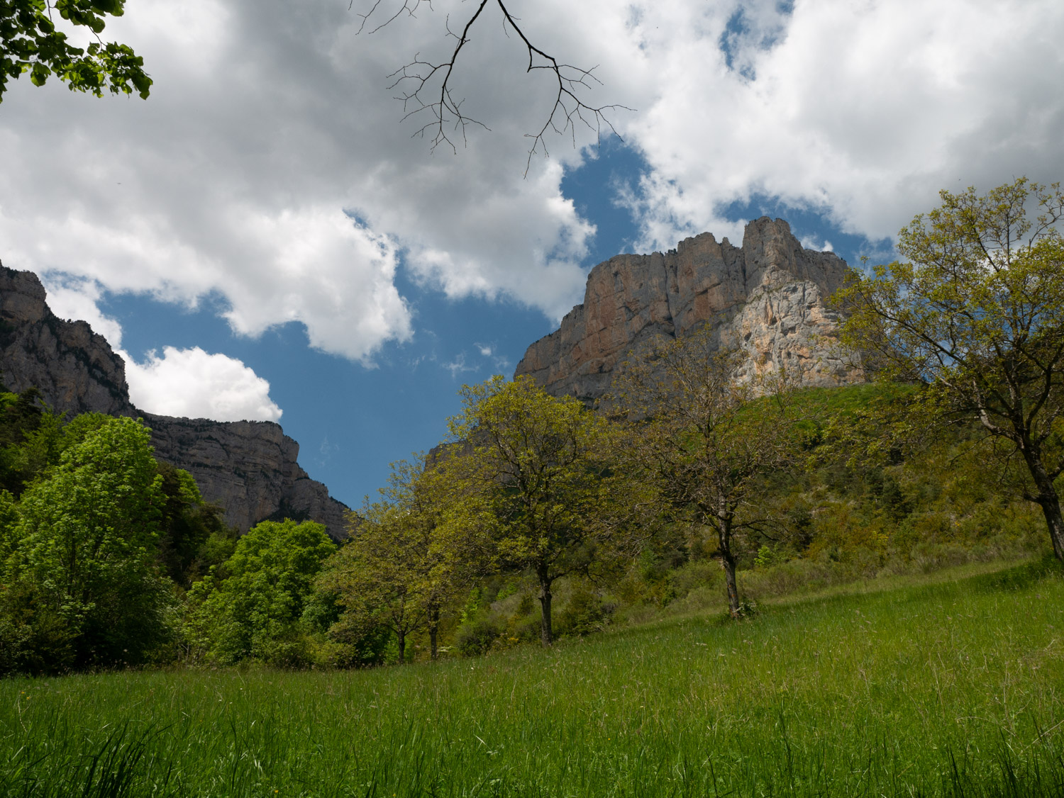 Nature et sérénité Nature et sérénité