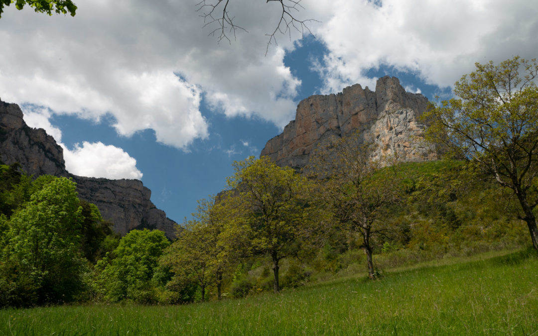 Nature et sérénité