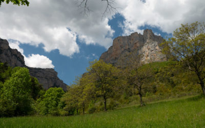 Nature et sérénité